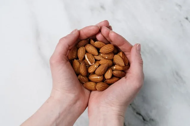 aliments pour vitamine B8